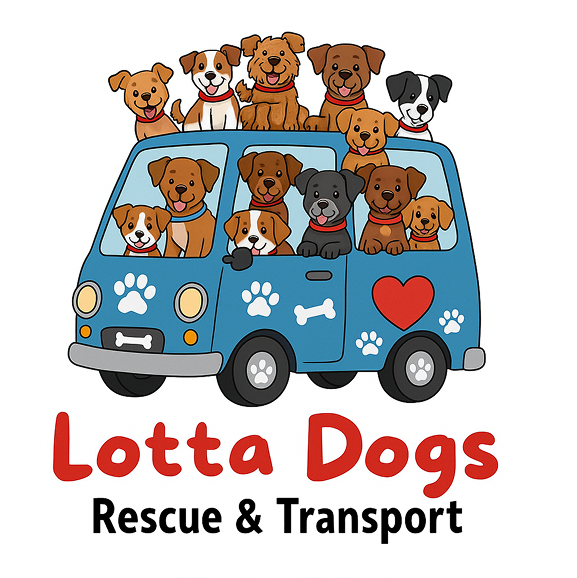 Cartoon dogs in blue rescue van.