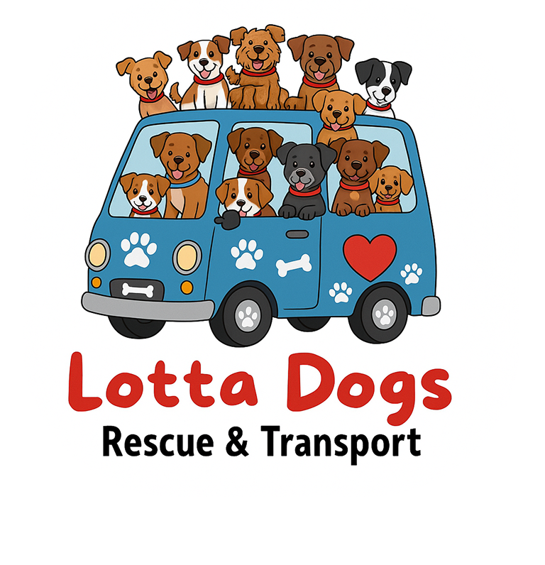 Cartoon dogs in a blue rescue van.