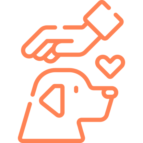 Icon of a hand giving a treat to a dog with a heart symbol.